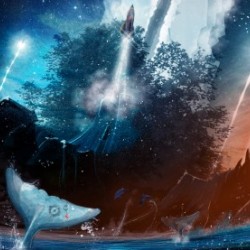 The Stars Are Our Destination